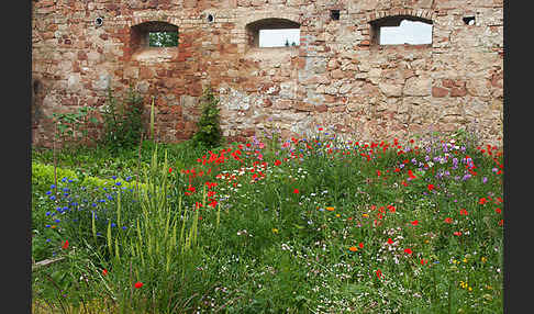 Kulturlandschaft (cultivated landscape)