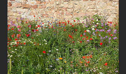 Kulturlandschaft (cultivated landscape)