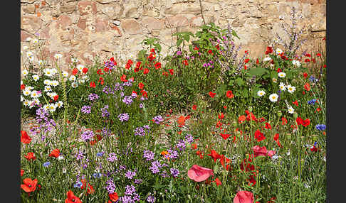 Kulturlandschaft (cultivated landscape)