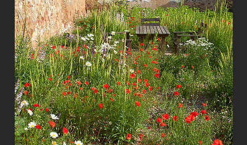 Kulturlandschaft (cultivated landscape)