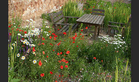 Kulturlandschaft (cultivated landscape)