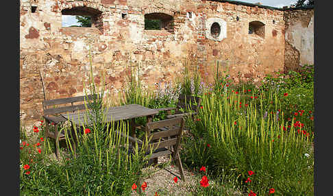 Kulturlandschaft (cultivated landscape)