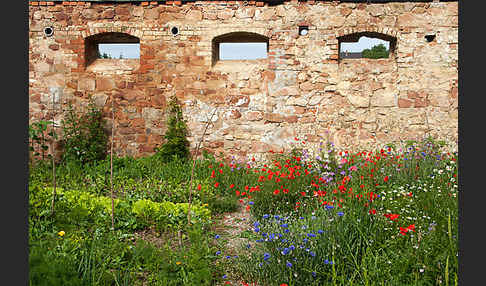 Kulturlandschaft (cultivated landscape)