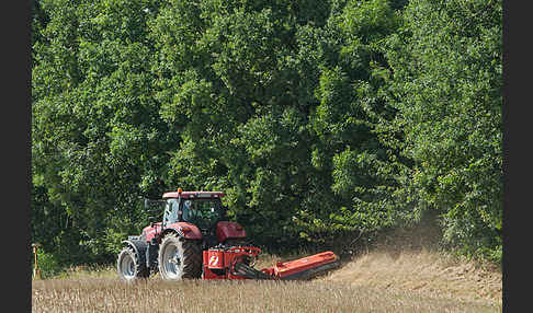 Intensive Landwirtschaft (industrial agriculture)