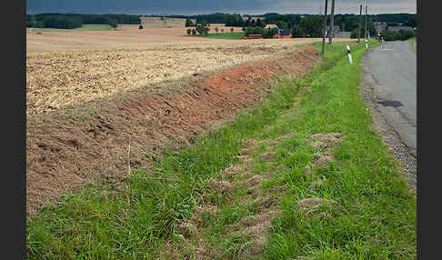 Intensive Landwirtschaft (industrial agriculture)