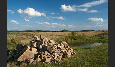 Thüringen (Thuringia)