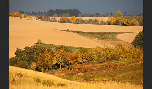 Thüringen (Thuringia)