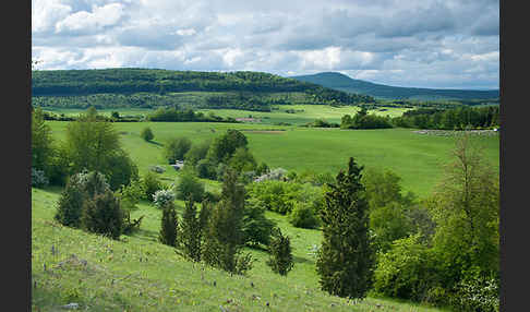 Thüringen (Thuringia)