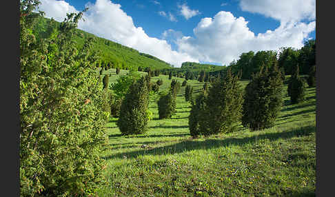 Thüringen (Thuringia)