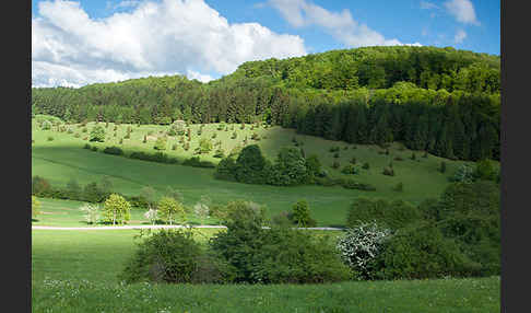 Thüringen (Thuringia)