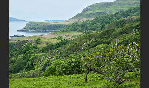 Schottland (Scotland)