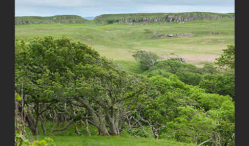 Schottland (Scotland)