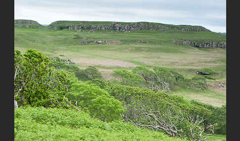 Schottland (Scotland)