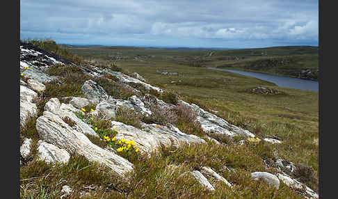 Schottland (Scotland)