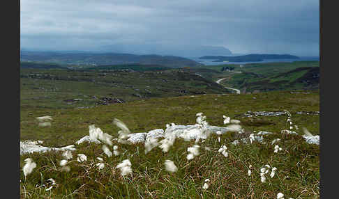 Schottland (Scotland)