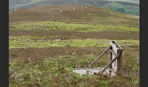 Schottland (Scotland)