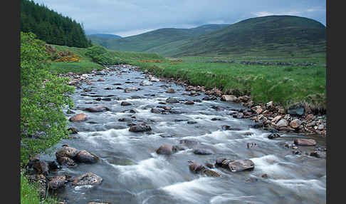 Schottland (Scotland)