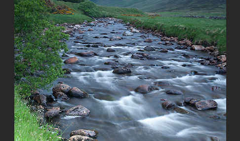 Schottland (Scotland)