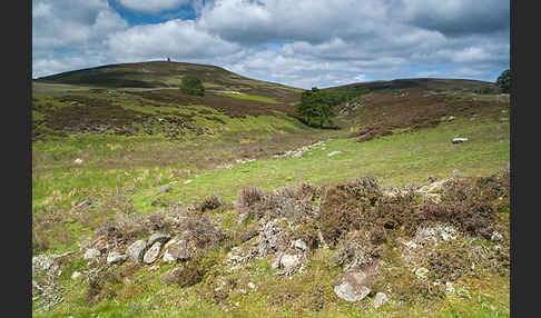 Schottland (Scotland)