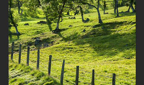 Schottland (Scotland)