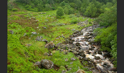 Schottland (Scotland)