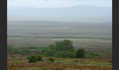 Schottland (Scotland)