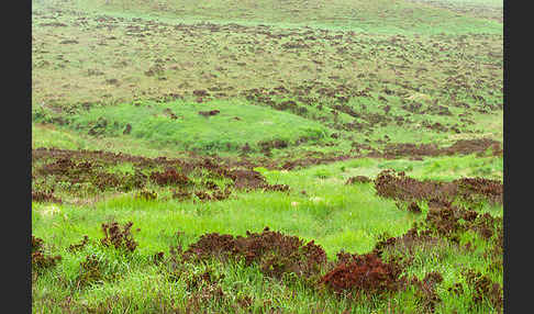 Schottland (Scotland)