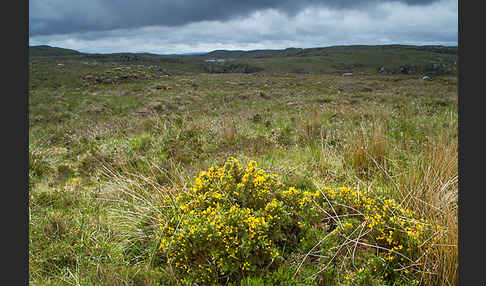 Schottland (Scotland)