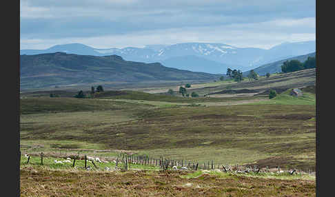 Schottland (Scotland)