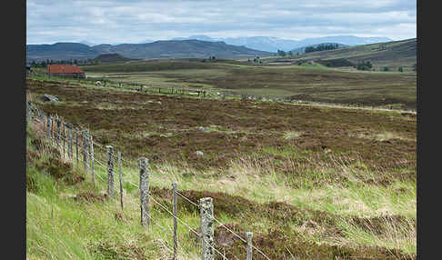 Schottland (Scotland)