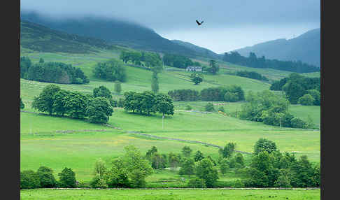 Schottland (Scotland)