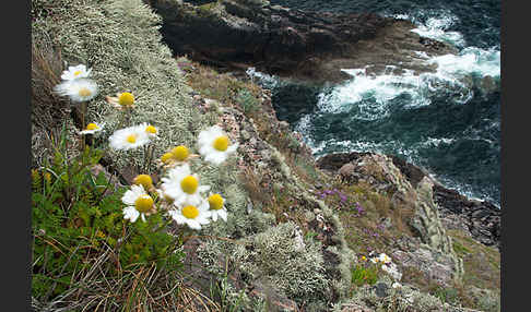 Schottland (Scotland)