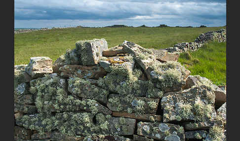 Schottland (Scotland)