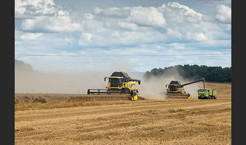 Intensive Landwirtschaft (industrial agriculture)