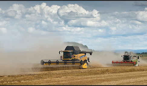 Intensive Landwirtschaft (industrial agriculture)