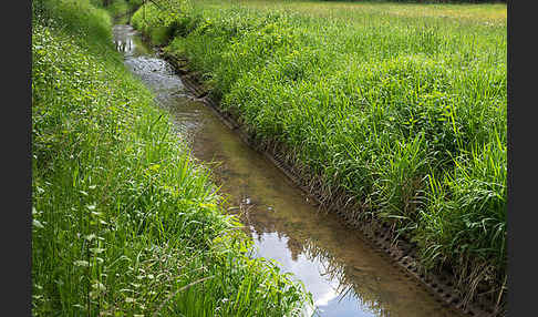 Thüringen (Thuringia)