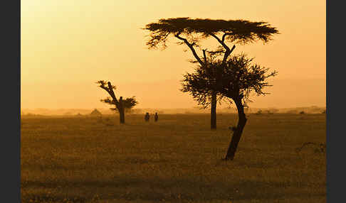 Aethiopien (Ethiopia)