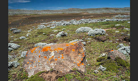 Aethiopien (Ethiopia)