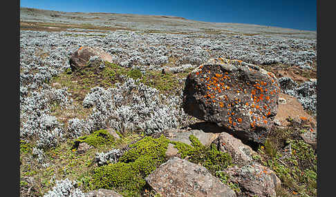 Aethiopien (Ethiopia)