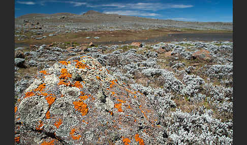 Aethiopien (Ethiopia)