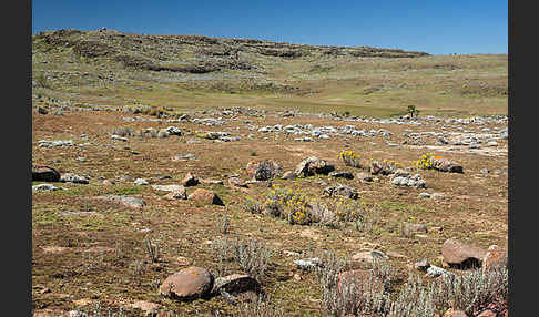 Aethiopien (Ethiopia)