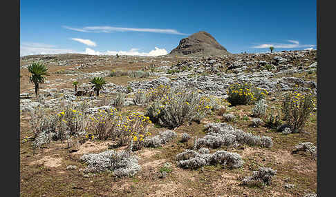 Aethiopien (Ethiopia)