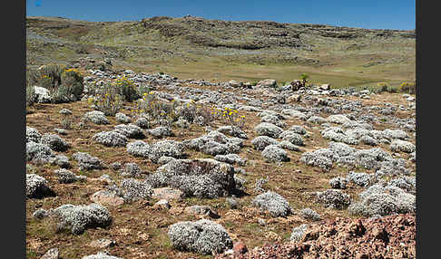 Aethiopien (Ethiopia)