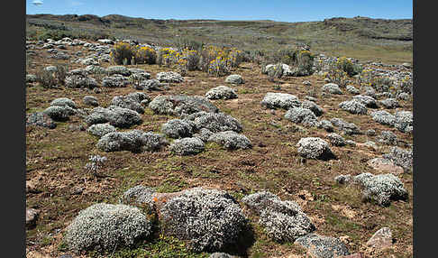 Aethiopien (Ethiopia)