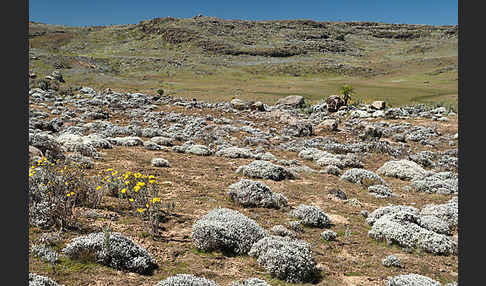 Aethiopien (Ethiopia)