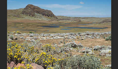 Aethiopien (Ethiopia)