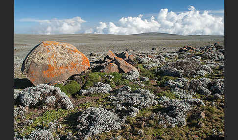 Aethiopien (Ethiopia)