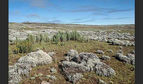 Aethiopien (Ethiopia)