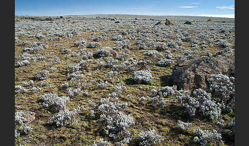 Aethiopien (Ethiopia)