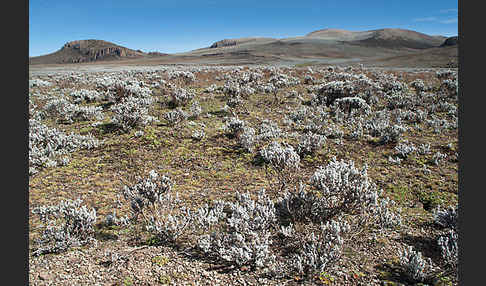Aethiopien (Ethiopia)